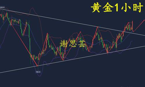 谢思芸：现货黄金能否再破新高？今晚多单继续获利！