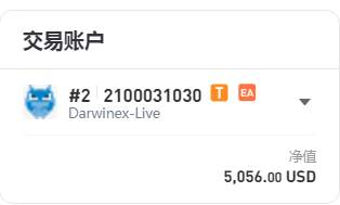 交易账户风控审视表