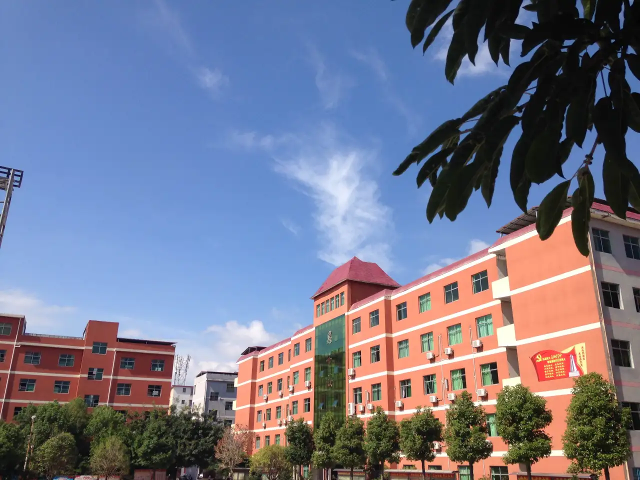 feed image