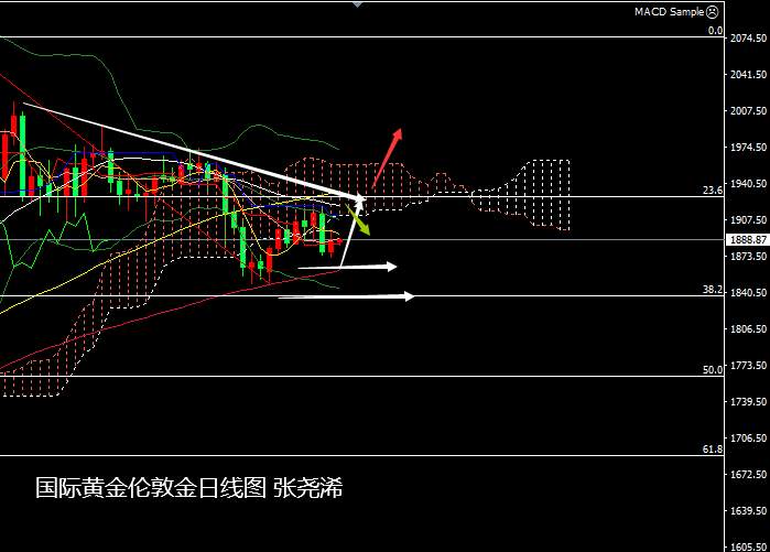张尧浠：市场基本面摇摆不定、黄金多头觊觎长期看涨
