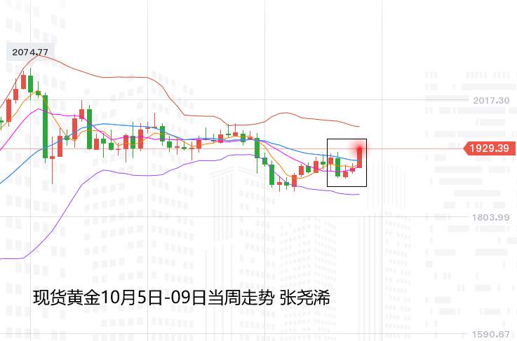 张尧浠周评：刺激计划戏剧上演、黄金不定中寻求看涨