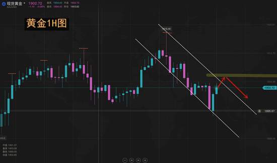 夏黛清：10.20黄金反弹坚定空，原油震荡走空！