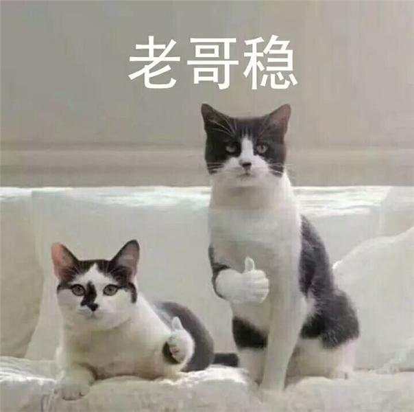 外汇黄金作手 持仓为何不稳2-太容易触发？