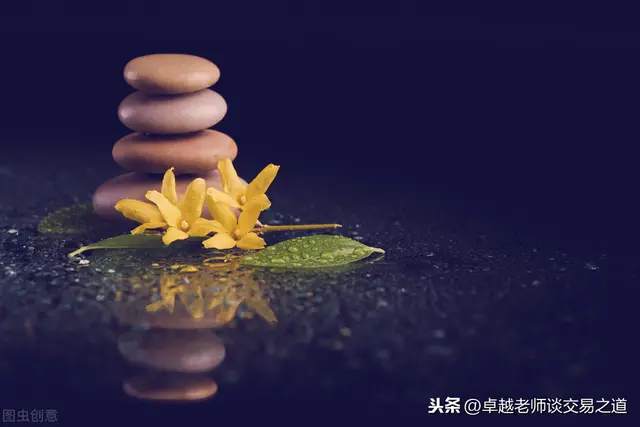 feed-image-1