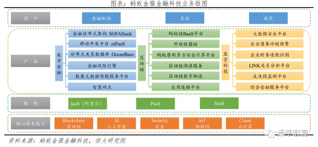 蚂蚁研究报告