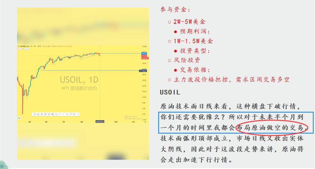 金市大鲤：第九期月交易总结
