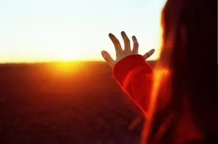 feed image