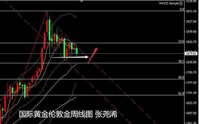 张尧浠：美元避险飙升黄金被抛、百日均线由支撑变压力