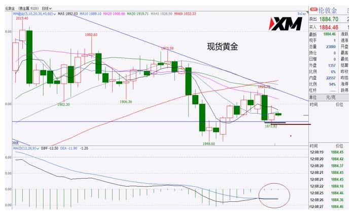 XM汇评 – 美元震荡徘徊，黄金多头较弱