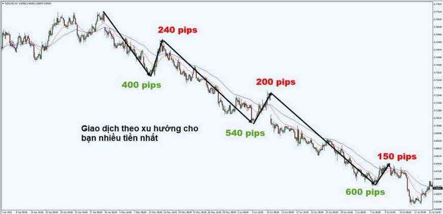 10 lời khuyên giúp trader giao dịch thành công