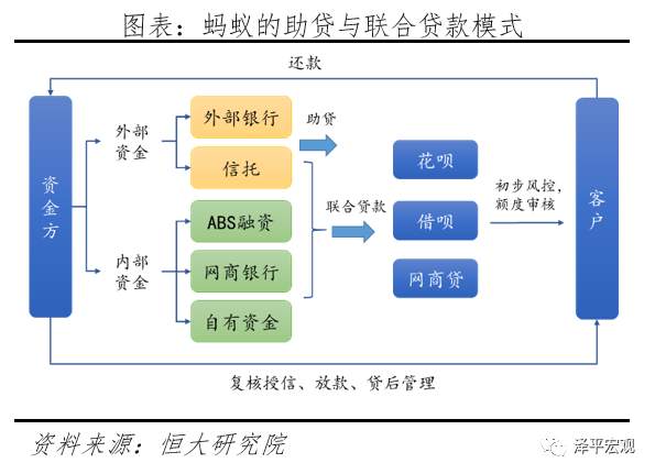 蚂蚁研究报告