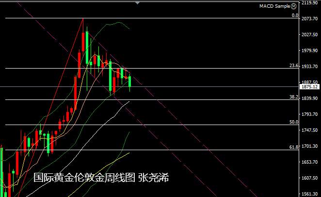 张尧浠：美元需求递增、黄金30日线下仍看阻力空