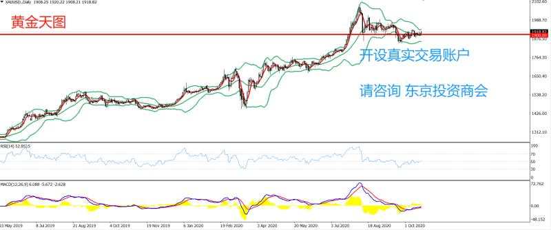 2020年10月21日 今日汇评