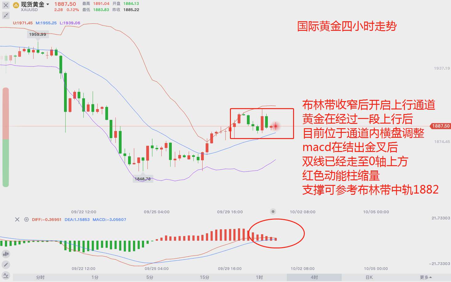 早盘市场，属于你的黄金报告