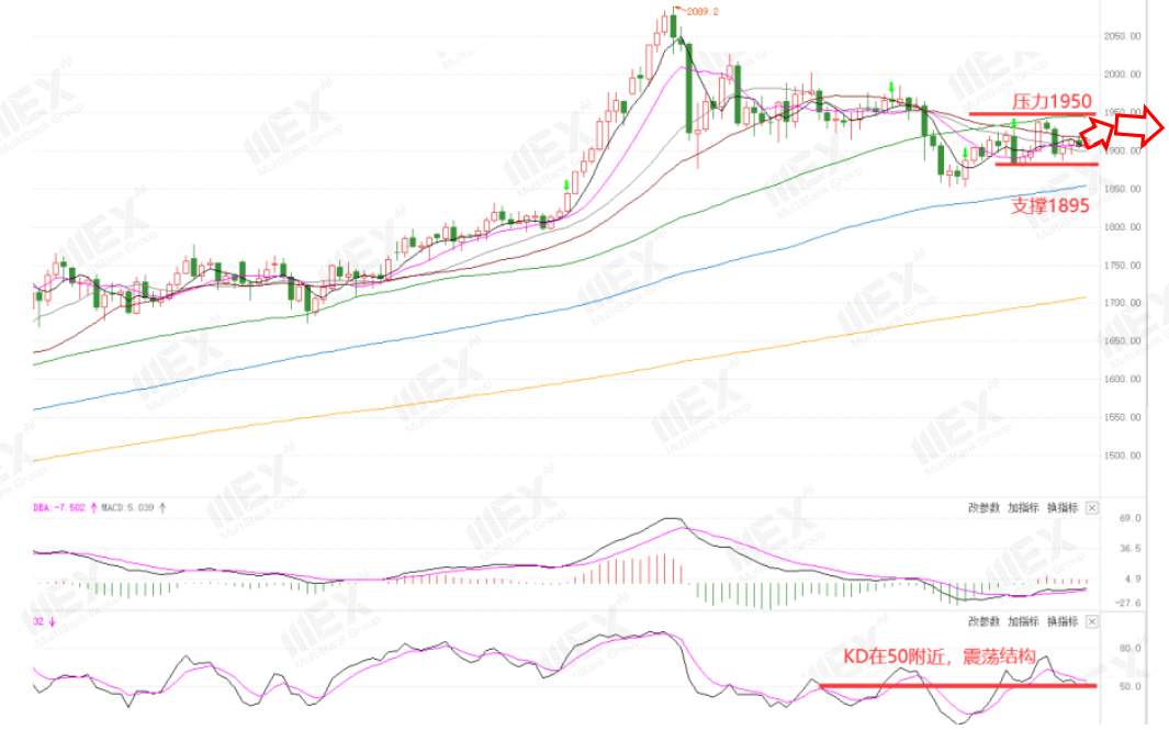 MEXGroup：每周策略2020-10-19