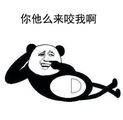 做单也亏，跟单都亏，凭什么？