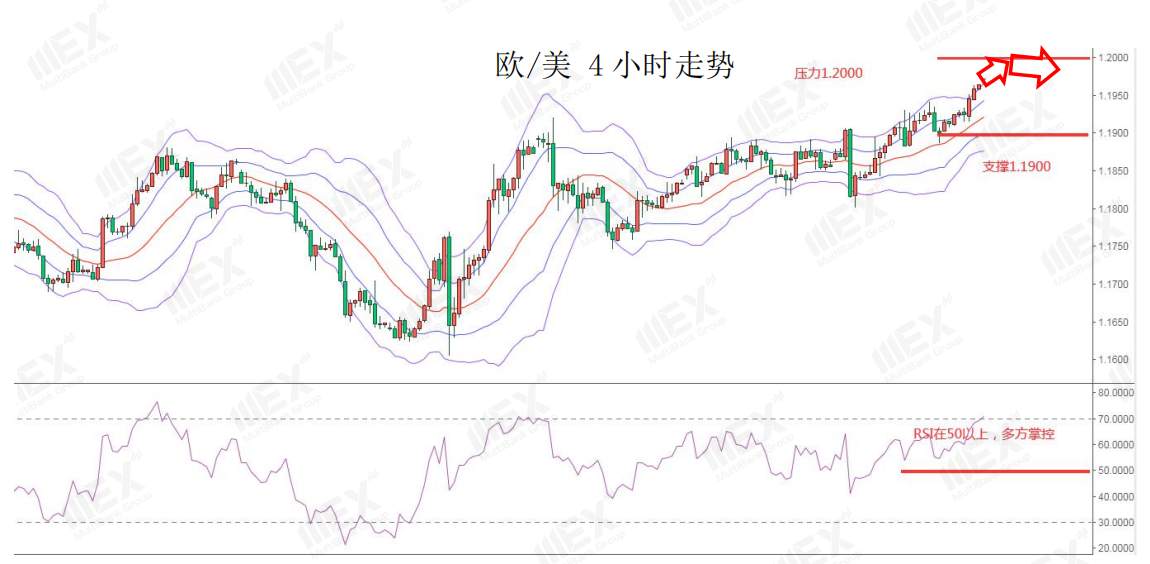 MEXGroup：每日快讯 | 投资者押注复苏风险情绪上升，避险品种承压