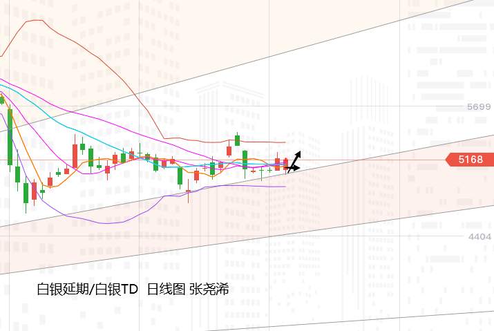 张尧浠：疫苗问世利率早已触底、黄金保持回撤趋势待寻底