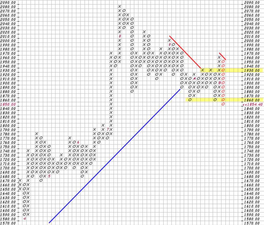 Phân tích Forex và hàng hóa theo góc nhìn đồ thị P&F - Ngày 10/11
