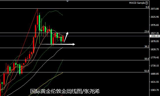 张尧浠：大选预期转向仍存变数、黄金下跳上窜仍有反弹