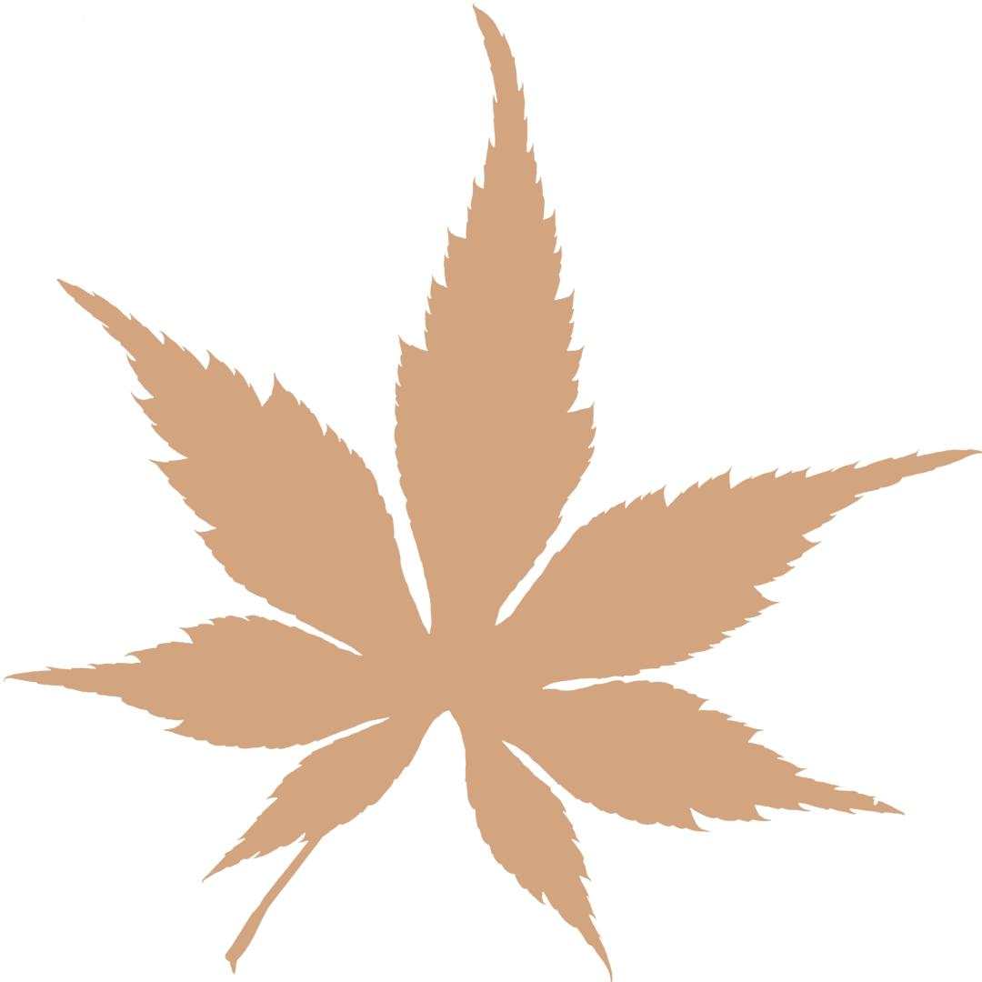 RCEP签了,美国很着急