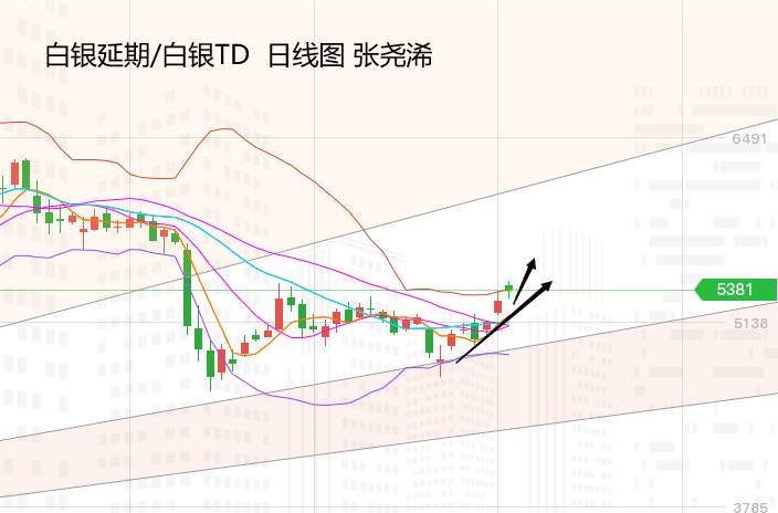 张尧浠：拜登胜选刺激待出、黄金蓄力看涨跟进