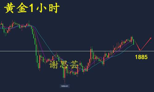 谢思芸：系好安全带！市场恐迎剧烈波动！黄金逼近1900！