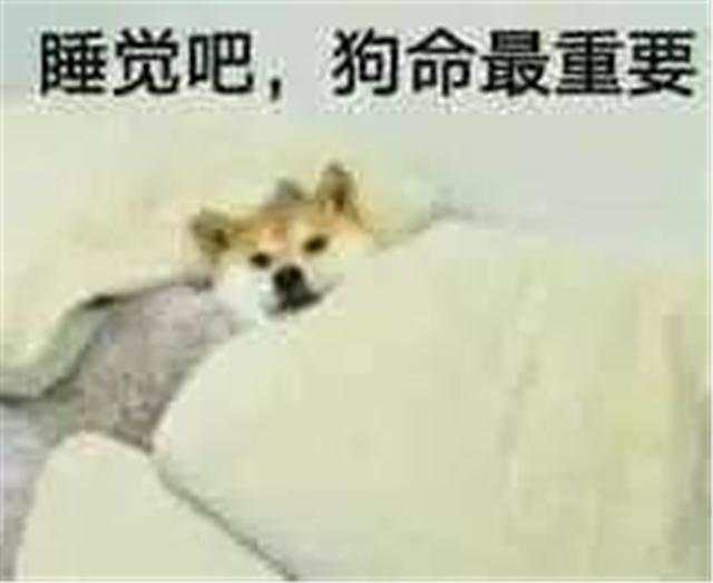 外汇黄金作手 技术形态-重要性