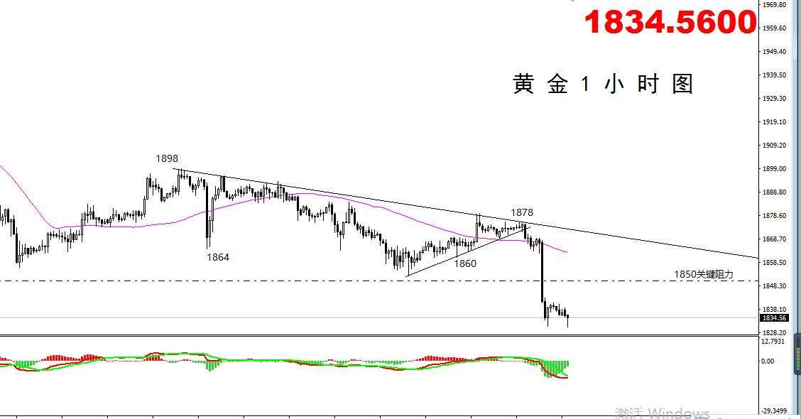 【黄金篇】：美国经济逐渐复苏，黄金惨遭抛售