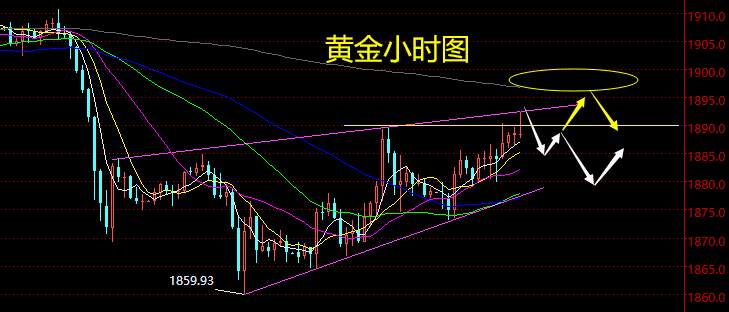 老黑策略：11.2晚盘外汇、黄金、原油分析策略