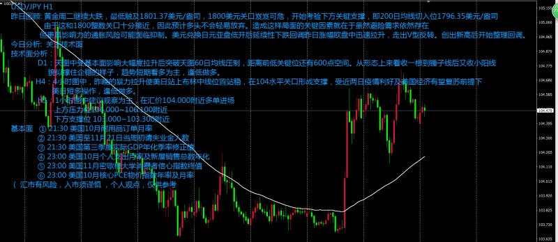 今天操作建议