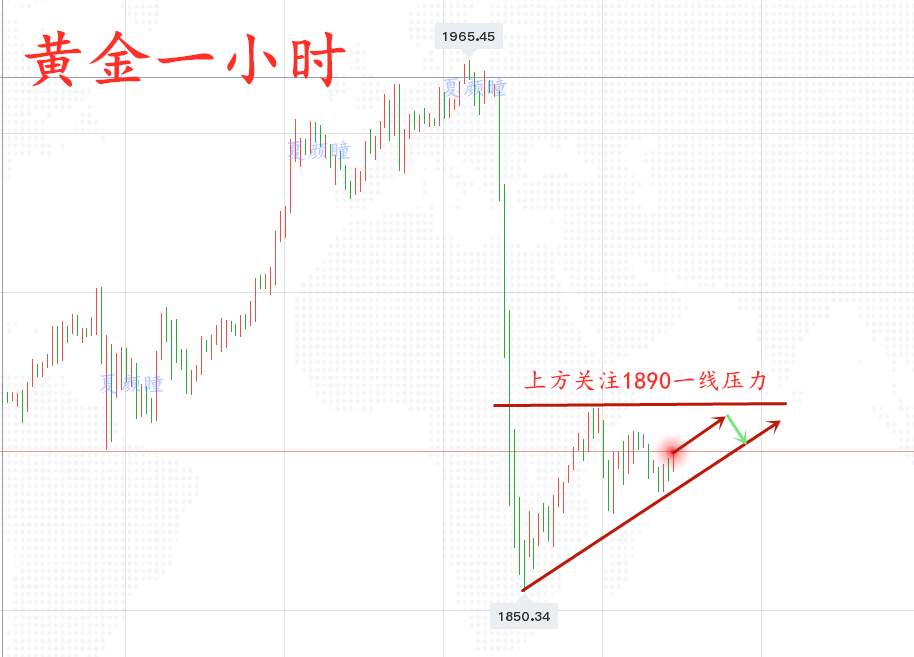 ​夏颜瞳:11.11黄金震荡修正，将延续慢涨趋势，日内黄金走势分析