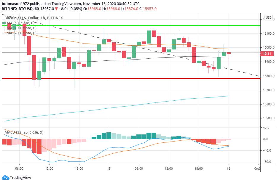 DAILY NOTION: The Crypto Daily – The Movers and Shakers for Nov 16, 2020