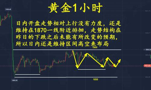 feed-image-2