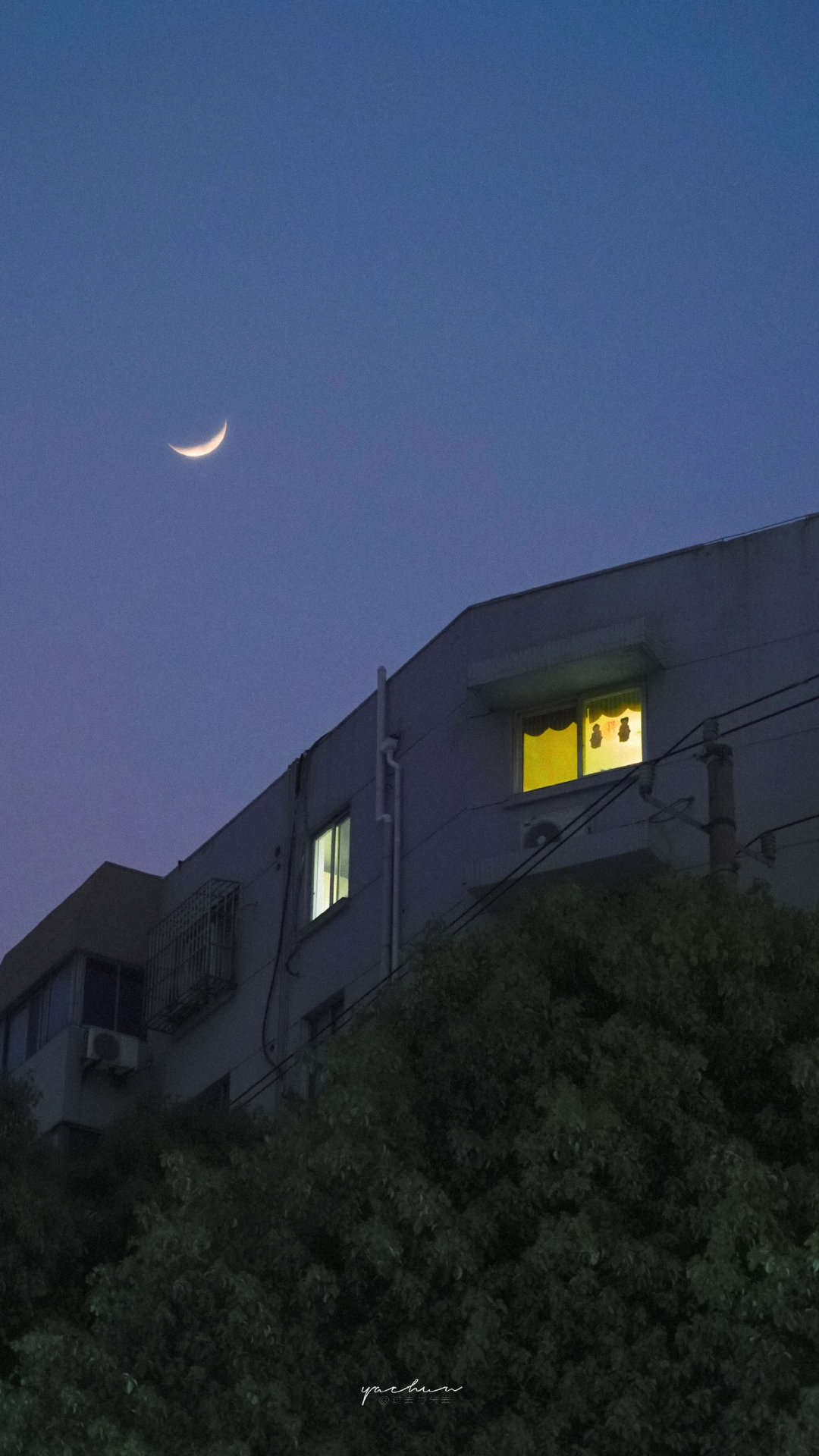 2020.11.10外汇早报