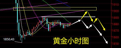 老黑策略：11.11黄金分析策略