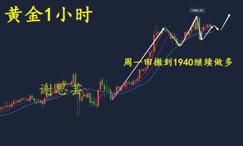 谢思芸：非农多空完美获利！下周开盘看黄金回撤到1940做多！