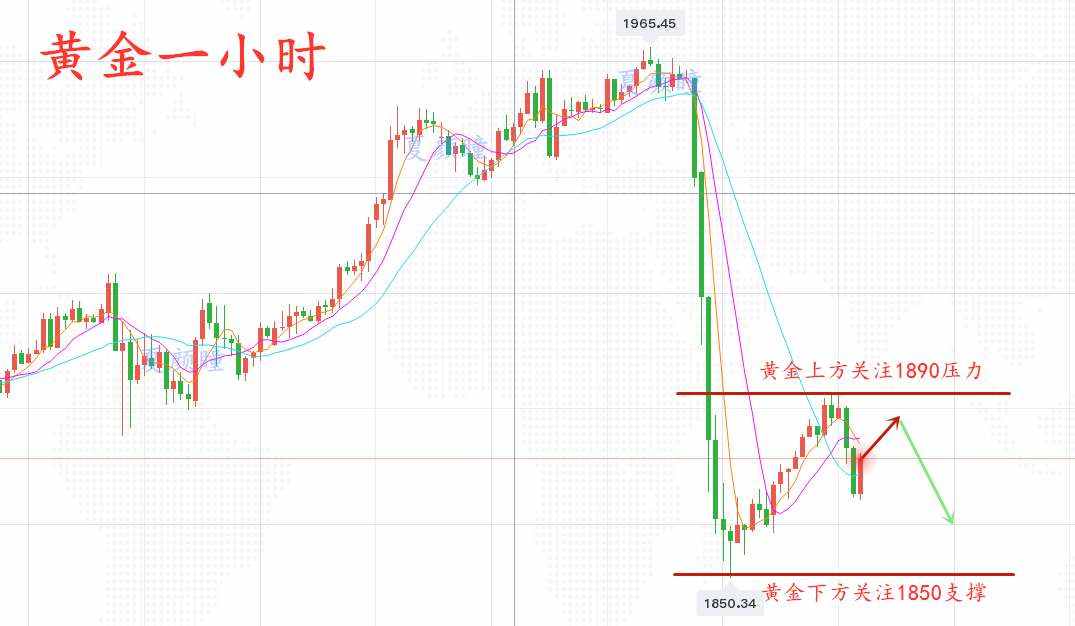 ​夏颜瞳：11.10黄金日内震荡修复，晚间空头强势来袭，大胆进空