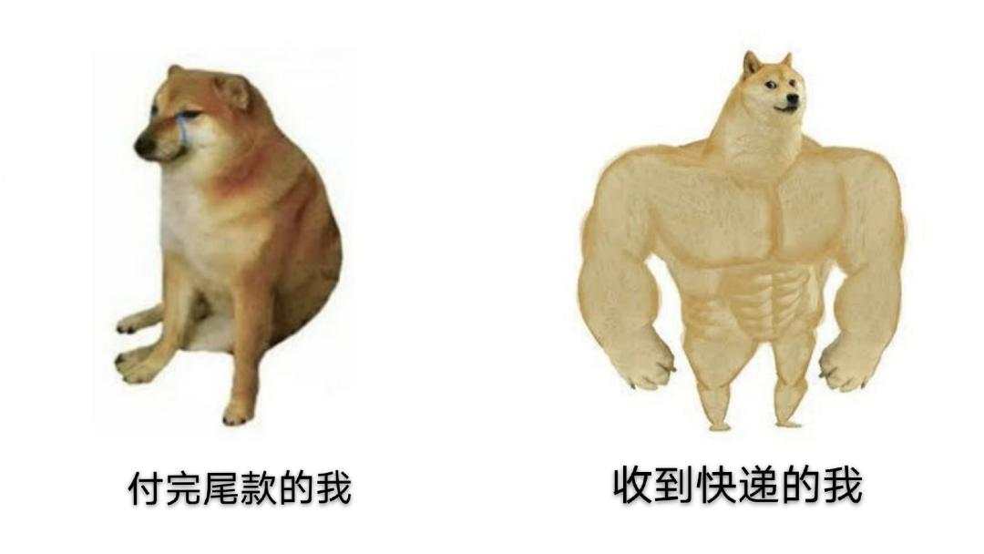 刷新纪录!天猫4982亿,京东2715亿!广东人霸屏,最爱买的居然是……