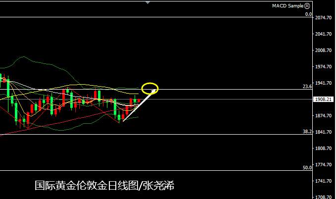 张尧浠：大选预期转向仍存变数、黄金下跳上窜仍有反弹