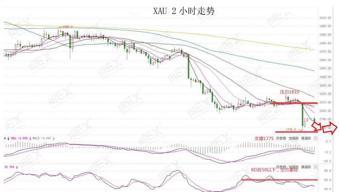 MEXGroup：每日快讯 | 投资者押注复苏风险情绪上升，避险品种承压