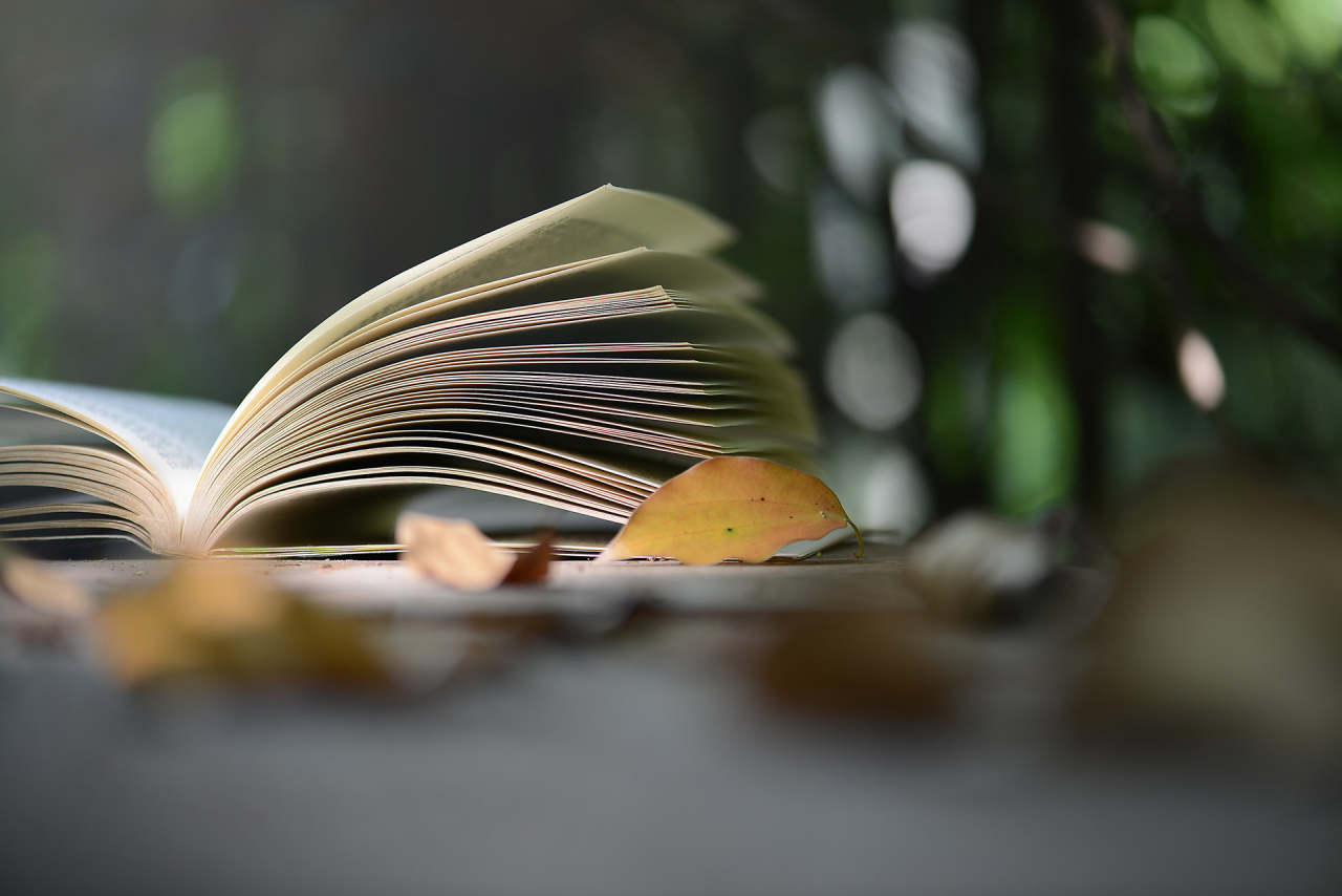 东盛：尾盘延续震荡，等候消息破局