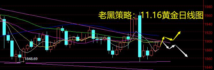 老黑策略：11.16黄金分析策略