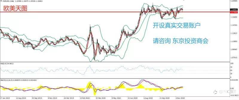 2020年11月24日 今日汇评