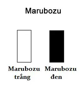 Tuyệt chiêu bắt con sóng lớn bằng 1 thanh nến Marubozu