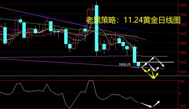 老黑策略：11.24黄金分析策略