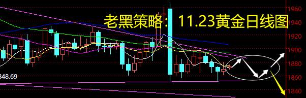 老黑策略：11.23黄金分析策略