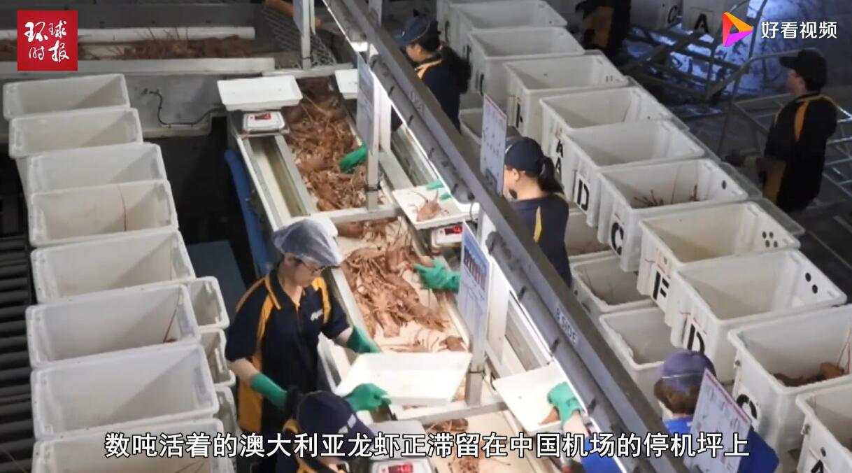 超级风险周第二天：澳洲联储利率决议