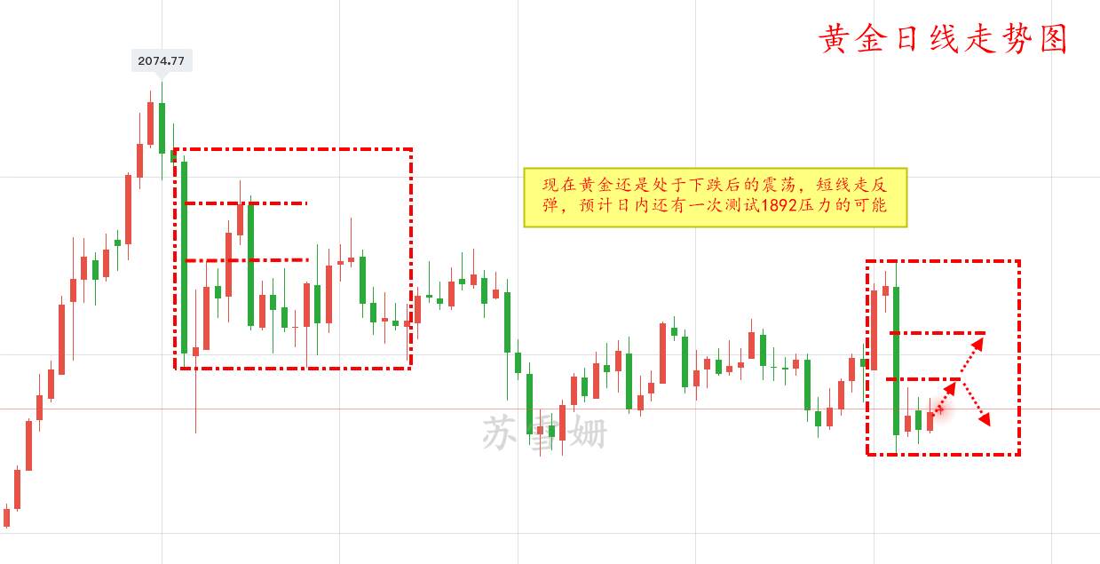 苏雪姗：11.13黄金多日支撑试探仍未突破，多头时代悄然来袭