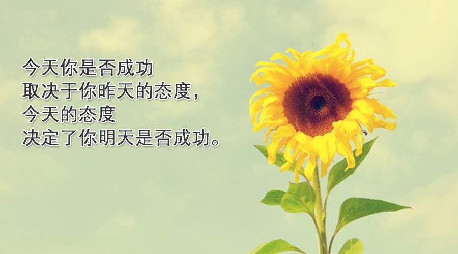 苏雪姗：新手炒黄金总是亏损？只需几招杜绝亏损！